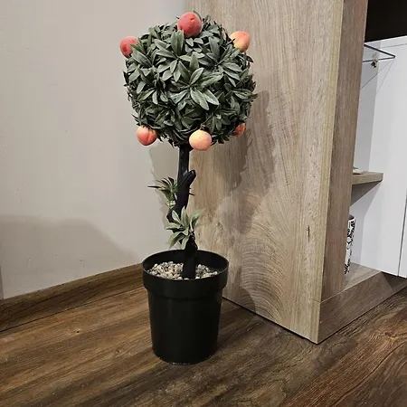 Bright - & Business * София