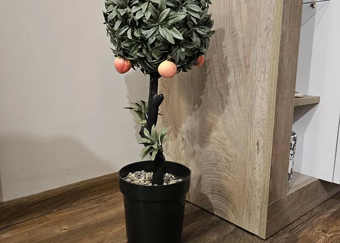 Bright - & Business * סופיה